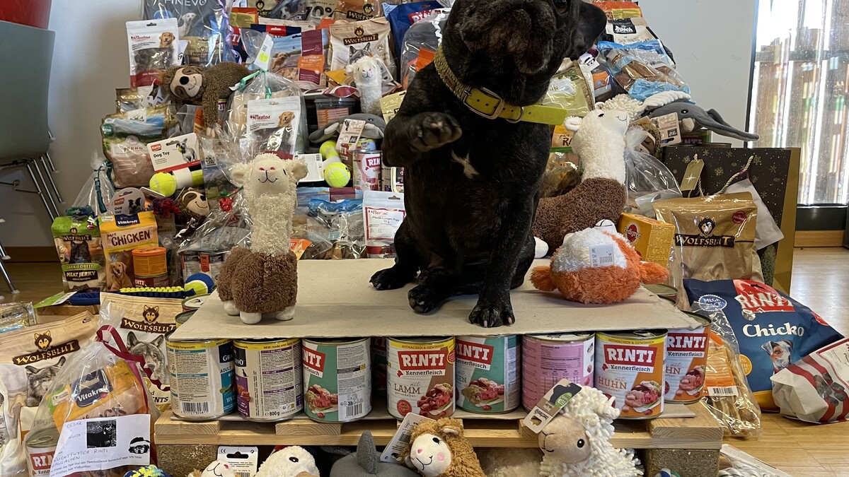 Buddy vor einem Berg an Spenden