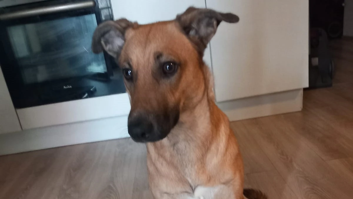 Kira