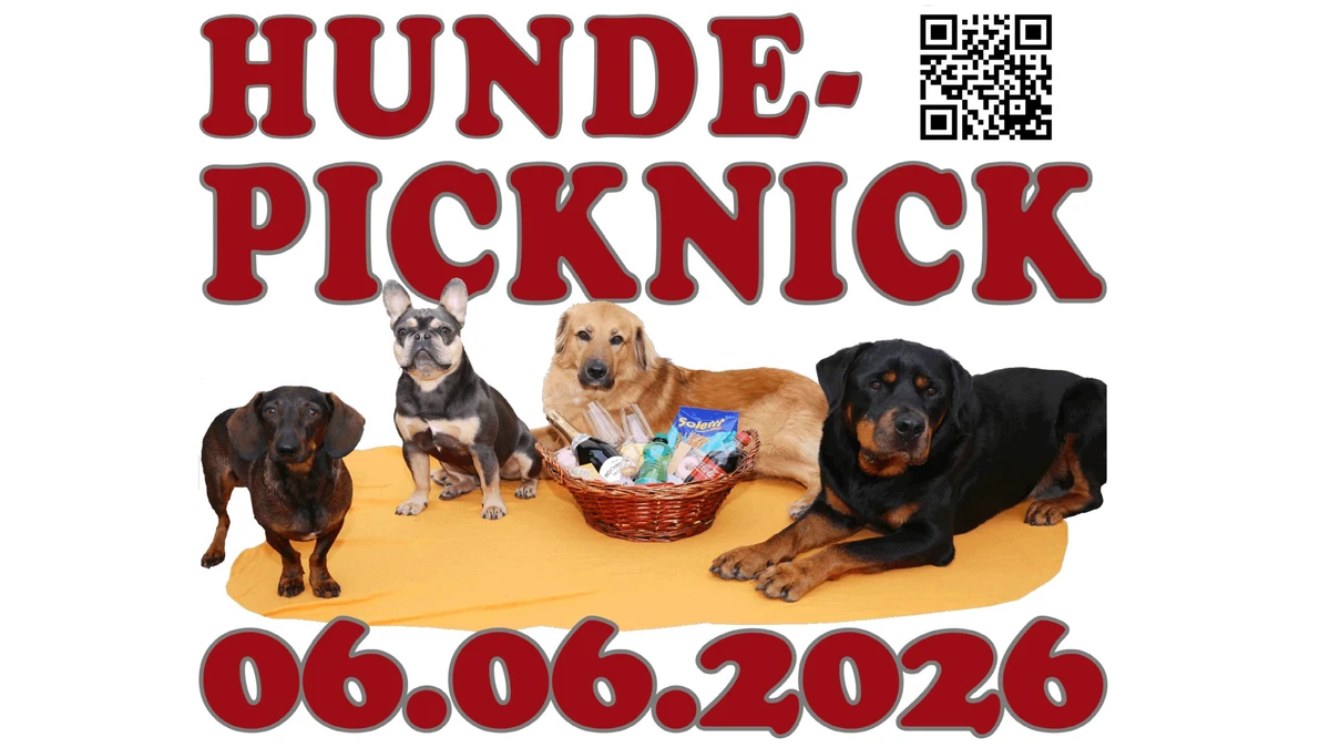 Hundepicknick Banner 2zu1