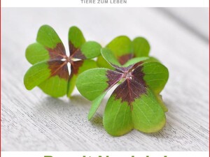 © Landestierschutz Burgenland Zwei Kleeblätter auf einem Tisch