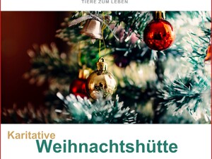 Einladung zur Karitativen Weihnachtshütte in der FUZO Eisenstadt
