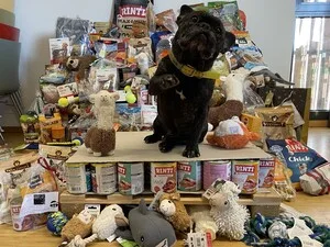 Buddy vor einem Berg an Spenden