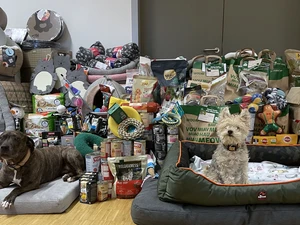 Sonnentiere Sheila und Ivy vor einem Berg an Spenden