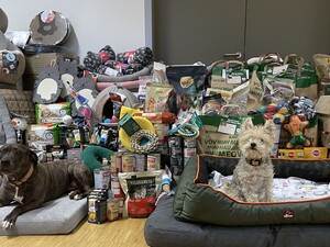 Sonnentiere Sheila und Ivy vor einem Berg an Spenden