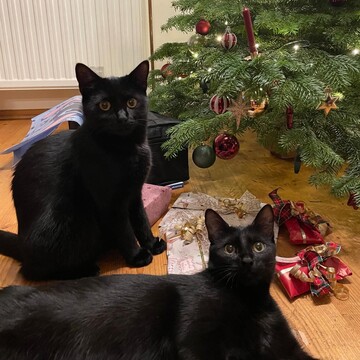 Hermine und Tequila.jpg