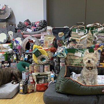 Sonnentiere Sheila und Ivy vor einem Berg an Spenden