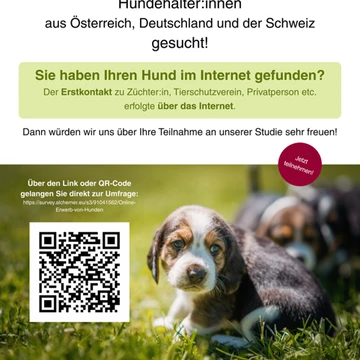 Flyer zur Studie