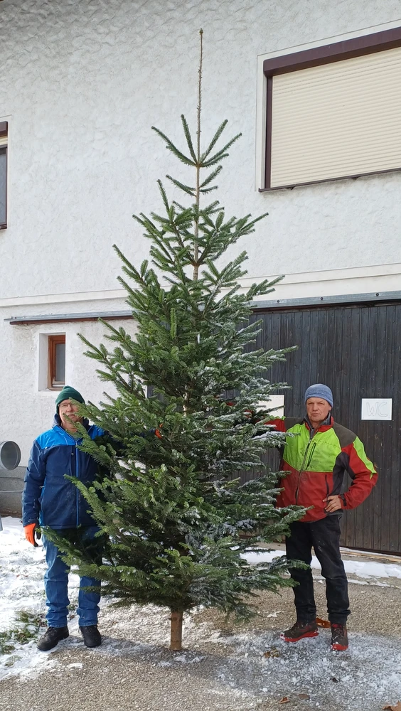 Christbaumspende - Herbert Sauerzapf mit Christbaum und Kollegen
