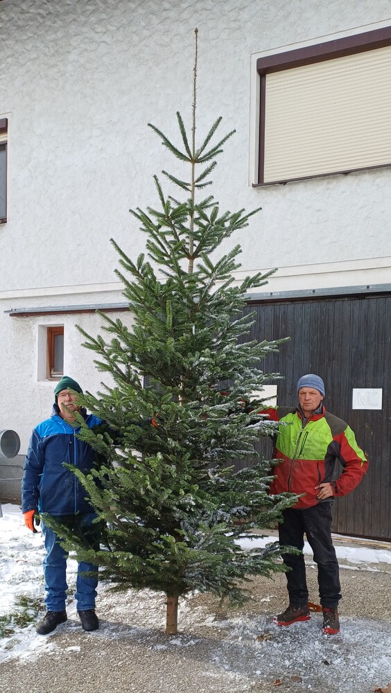 Christbaumspende - Herbert Sauerzapf mit Christbaum und Kollegen