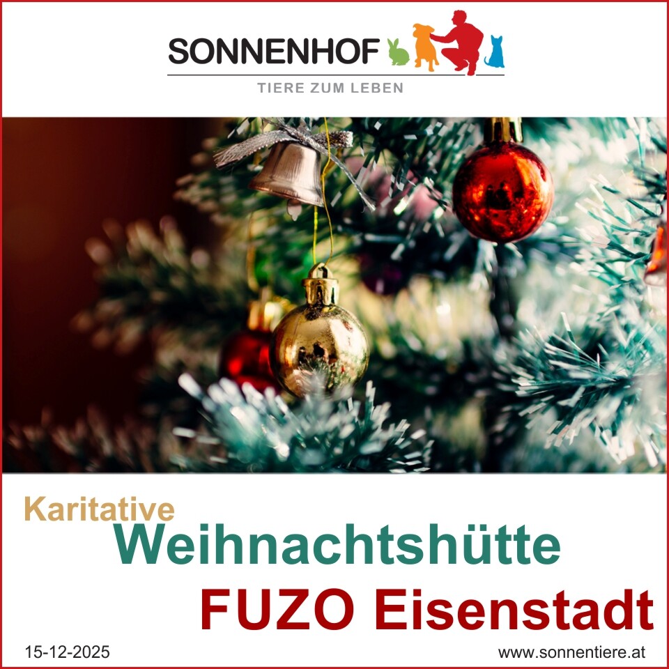 Einladung zur Karitativen Weihnachtshütte in der FUZO Eisenstadt