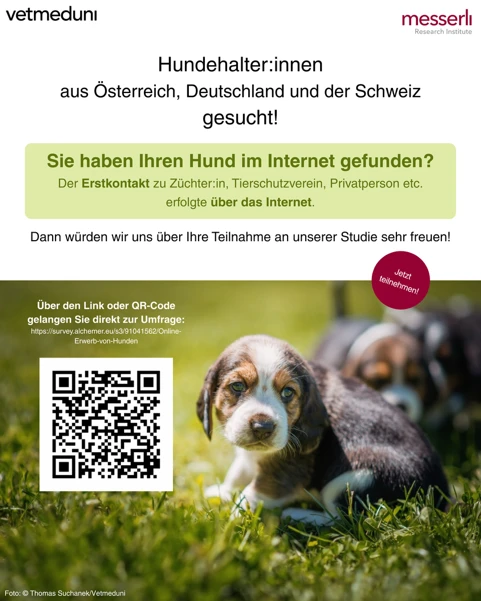 Flyer zur Studie